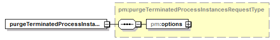 pm_xsd_diagrams/pm_xsd_p55.png