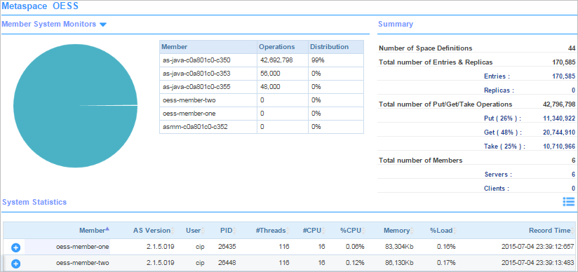 Details View of the Member System Monitors of a Metaspace