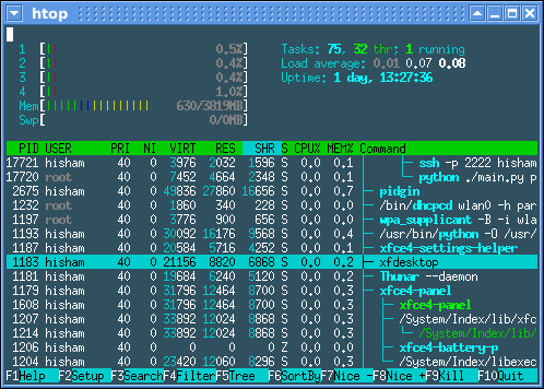 Sample output from htop tool showing CPU usage