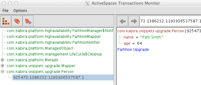Initial version of person object