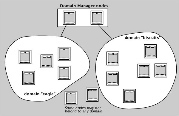 Domain manager nodes and the nodes in their domains