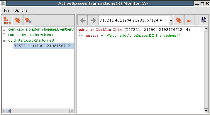 Displaying the QuickStartObject in the ActiveSpaces® Transactions monitor