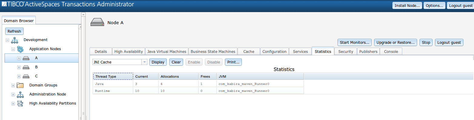 JNI Cache statistics