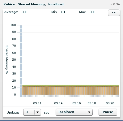 Shared memory monitor