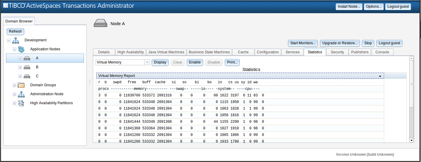 Virtual Memory Report