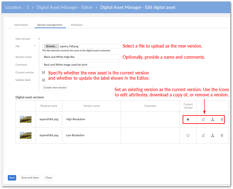 /edit-digital-asset-version-management-pane.png