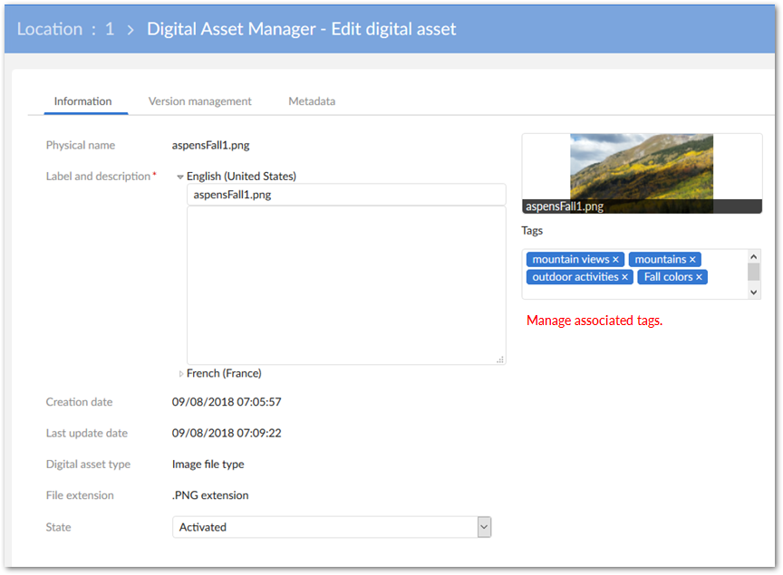 /edit-digital-asset-info-pane.png