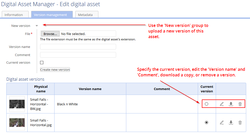 /edit-digital-asset-version-management-pane.png