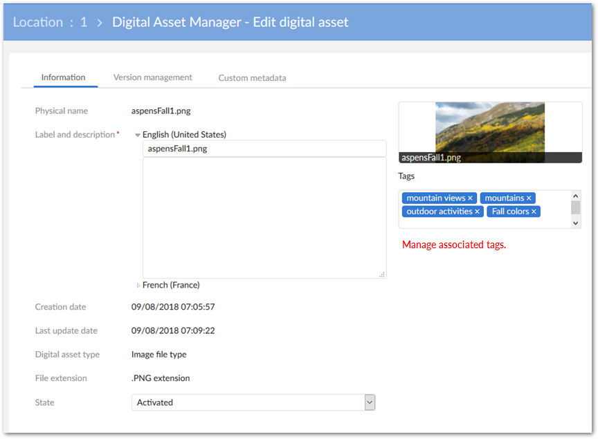 /edit-digital-asset-info-pane.png