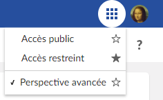 /favoritePerspectives.png
