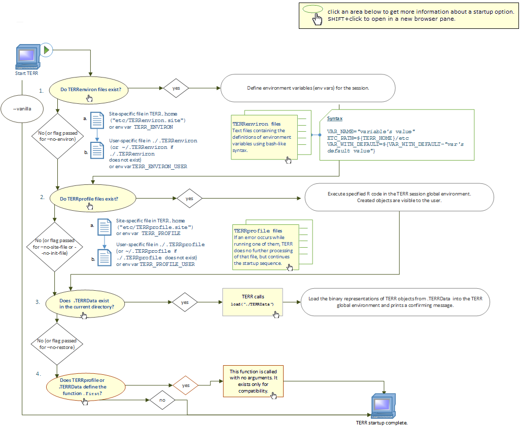 customizing the TERR startup 
		  