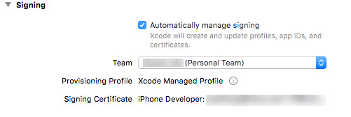 setting team and developer account options