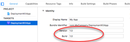 version and build numbers