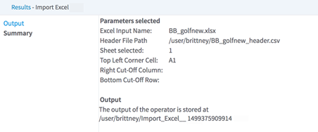 Import Excel Summary