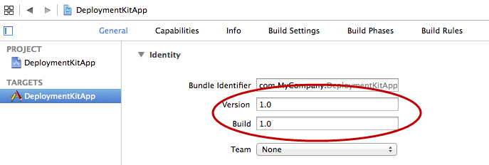 version and build numbers