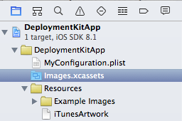 images.xcassets in the DeploymentKitApp
