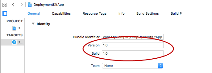 version and build numbers