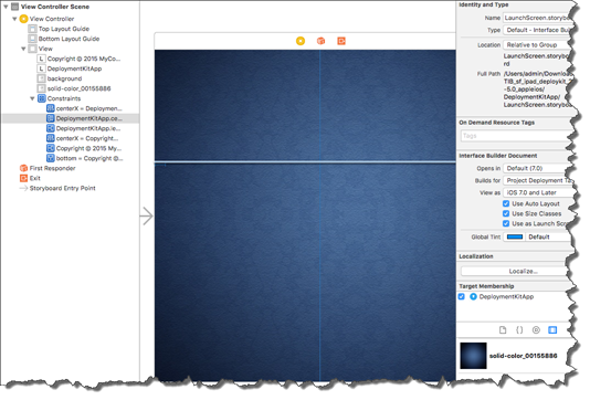 View controller displaying background and constraints