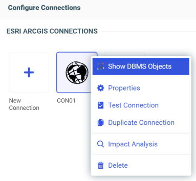 Esri Show DBMS Objects