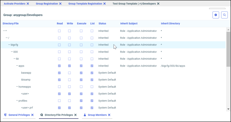 The Test Results window Directory and File Privileges tab displaying the privileges granted to members of a domain/workspace group.