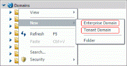 The Domains/Workspaces shortcut menu with both Enterprise and SaaS Tenant Domain/Workspace commands on display.