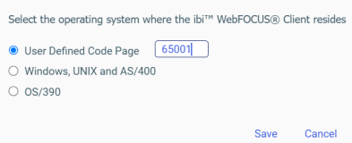 NLS Language Page Operating System selection options including user defined code page.