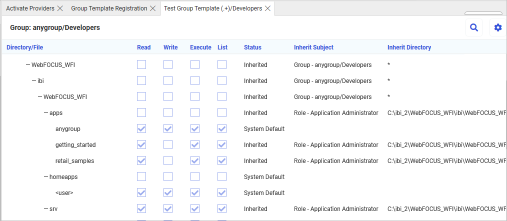 The Test Results window Directory and File Privileges tab displaying the privileges granted to members of a domain/workspace group.