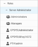 The user groups administrators and managers under the server administrator role.
