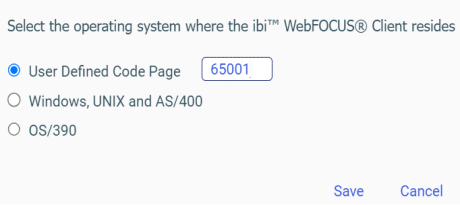 NLS Language Page Operating System selection options including user defined code page.