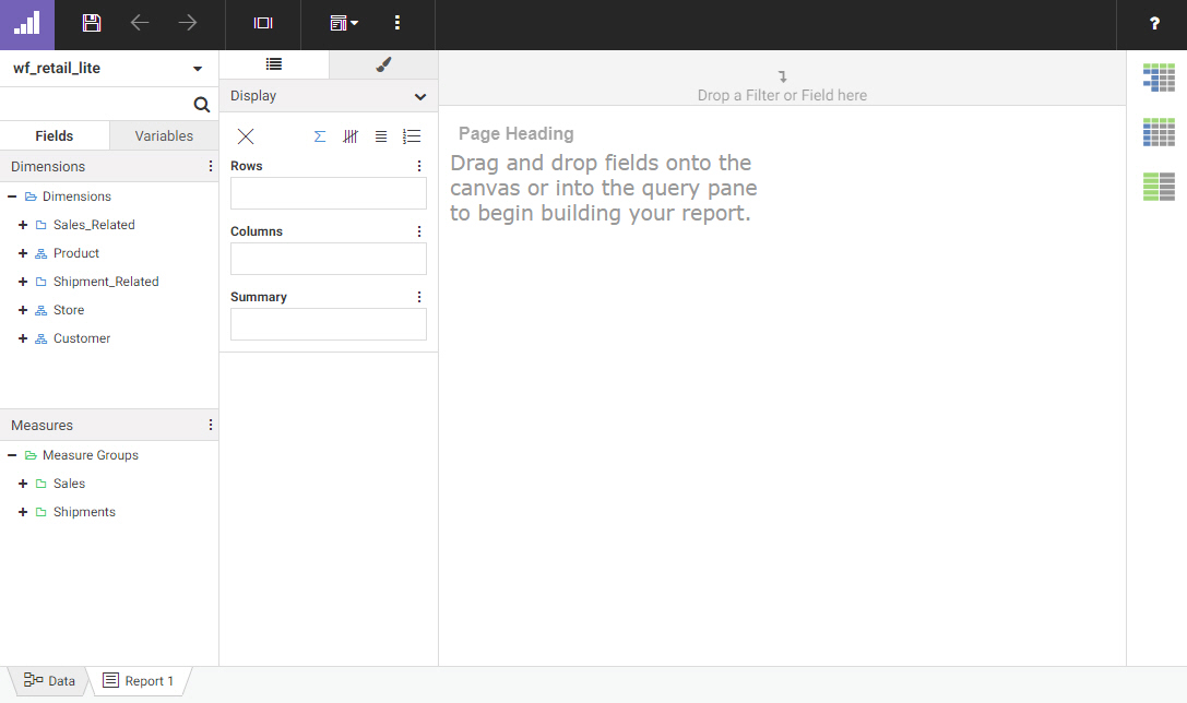 WebFOCUS Designer Report interface