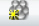 Create New Group button