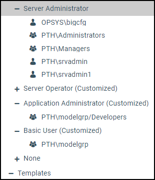 The Server Administrator Role with the Administrators, Managers, OPSYS\IBI and PTH\srvadmin groups assigned to it. The Application Administrator rule with the model group developers group assigned to it, and the basic user group with the model group assigned to it.