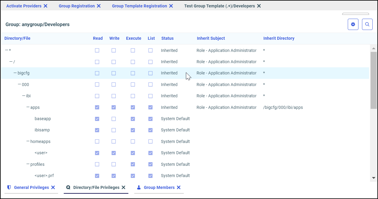 The Test Results window Directory and File Privileges tab displaying the privileges granted to members of a domain/workspace group.