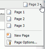 Page icon and Page menu