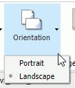 Orientation Button