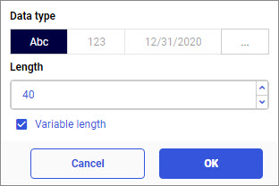 Alphanumeric field format options