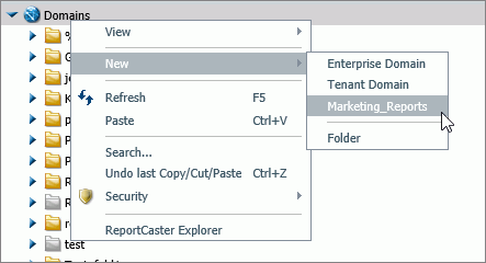 The New Domains/Workspaces shortcut menu with the custom template domain/workspace command.